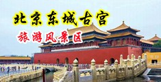 黄色操穴网中国北京-东城古宫旅游风景区